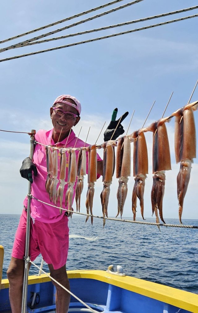 スルメ(スルメイカ)