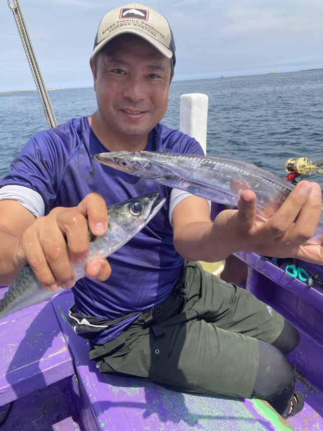 タチウオ・サバ(ゴマサバ)