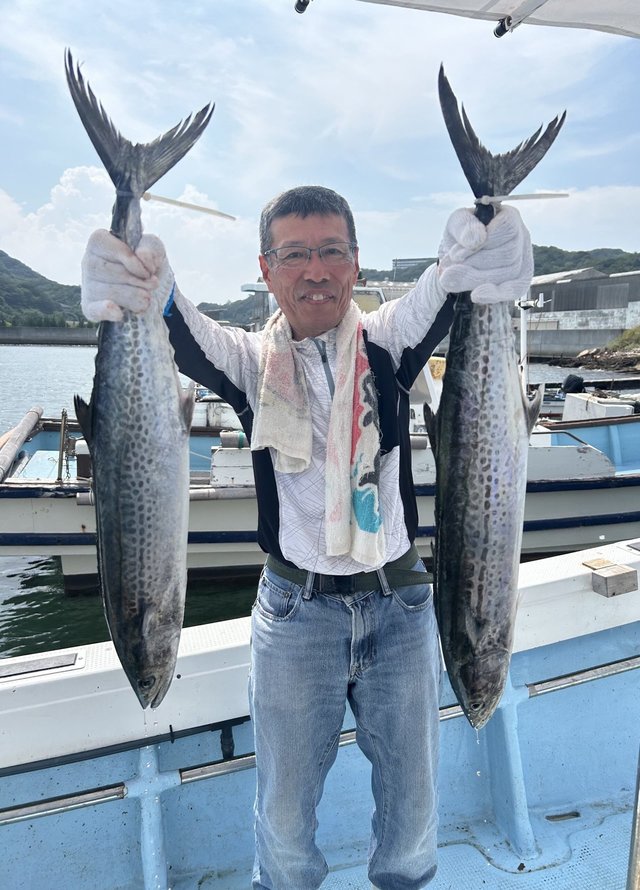 サゴシ(サワラ)