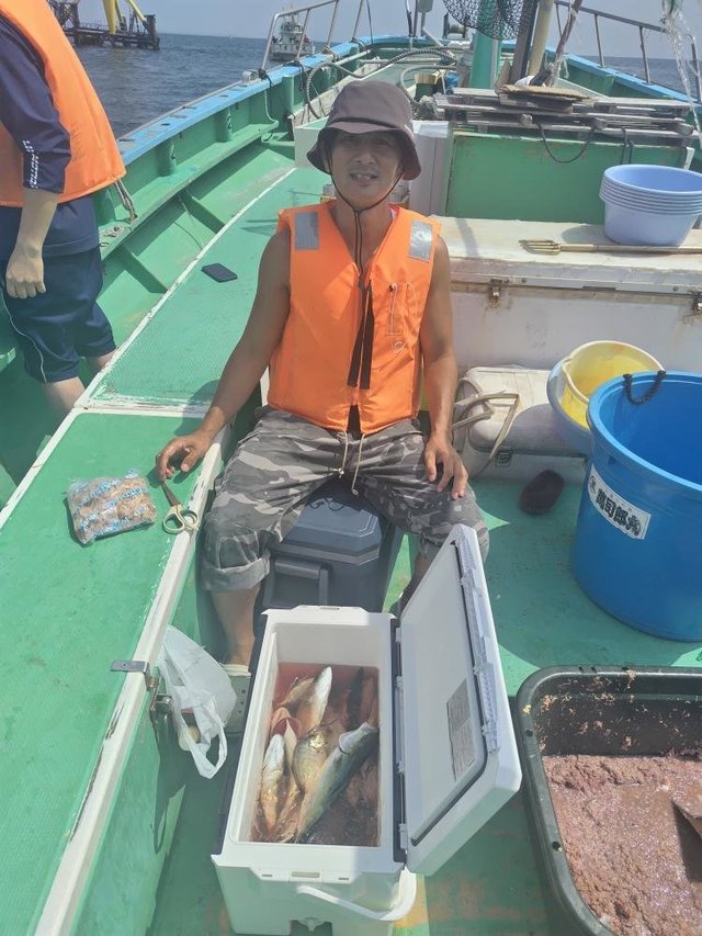 ワカシ(ブリ)・イナダ(ブリ)