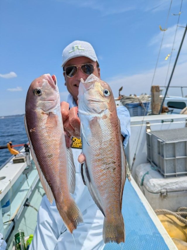 アマダイ(アカアマダイ)