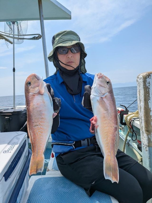 アマダイ(アカアマダイ)