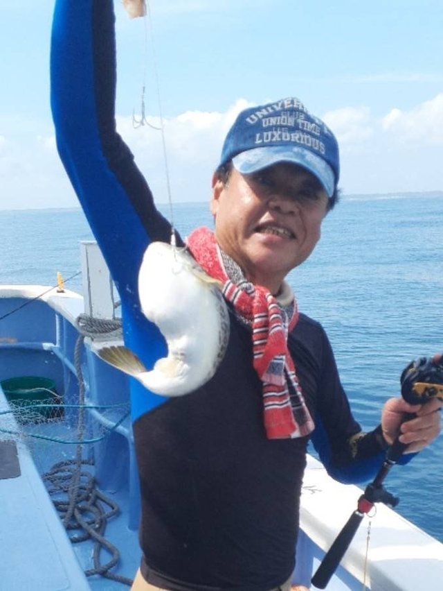 ショウサイフグ