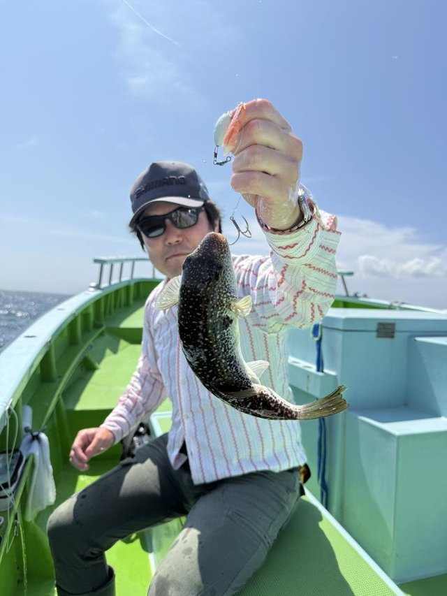 フグ(ショウサイフグ)