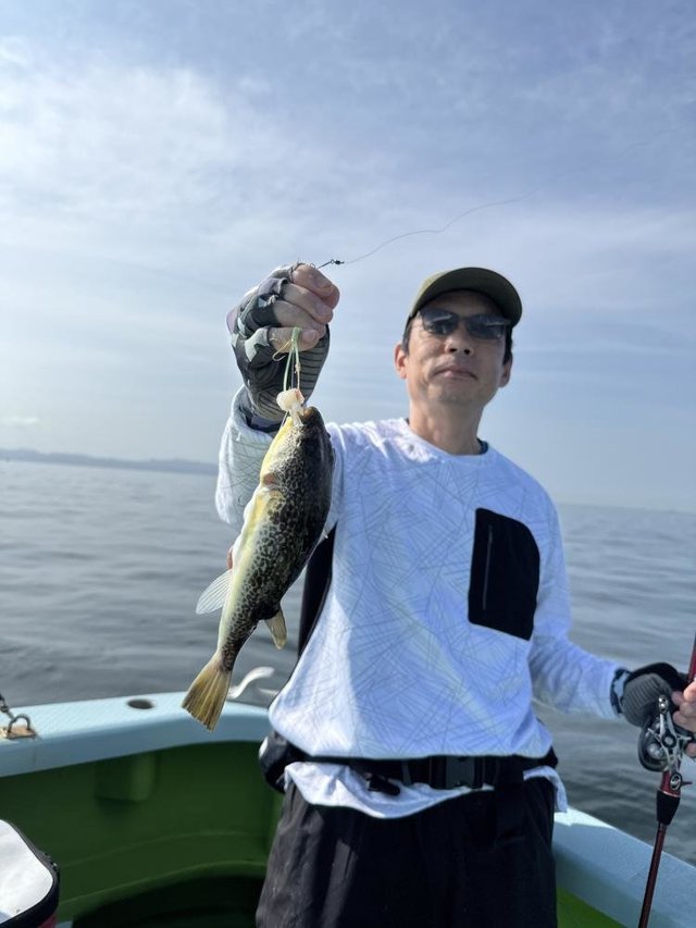 フグ(ショウサイフグ)