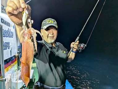 マイカ(ケンサキイカ)