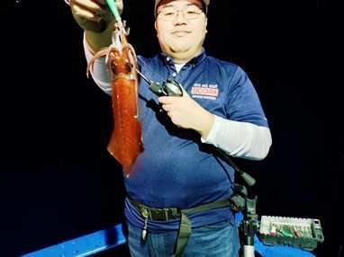 マイカ(ケンサキイカ)