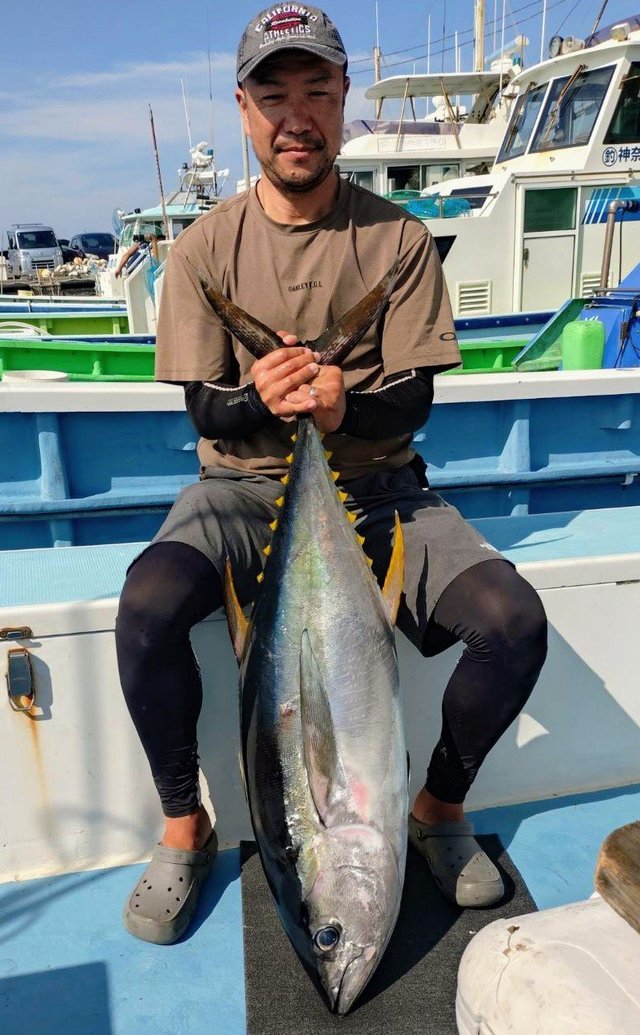 キハダマグロ(キハダ)