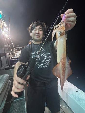 マイカ(ケンサキイカ)