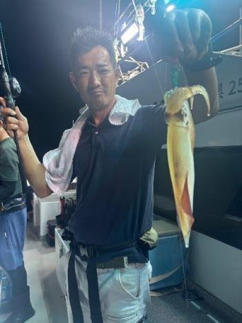 マイカ(ケンサキイカ)