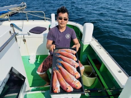 アマダイ(アカアマダイ)