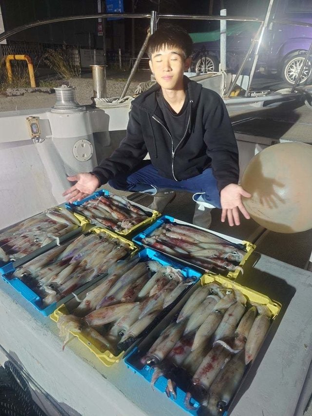 ケンサキイカ・ヤリイカ