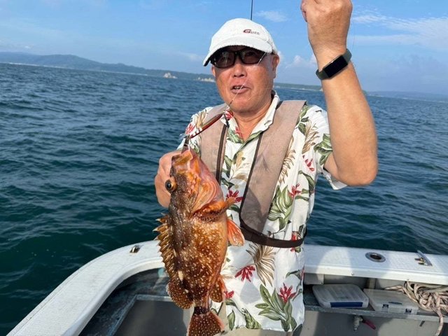 ウッカリカサゴ