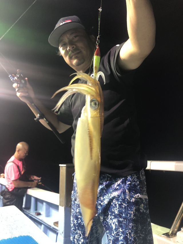 マルイカ(ケンサキイカ)