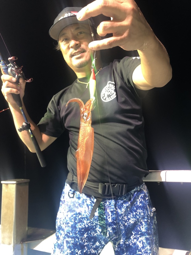 マルイカ(ケンサキイカ)