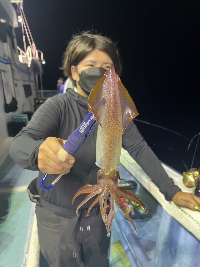 マルイカ(ケンサキイカ)