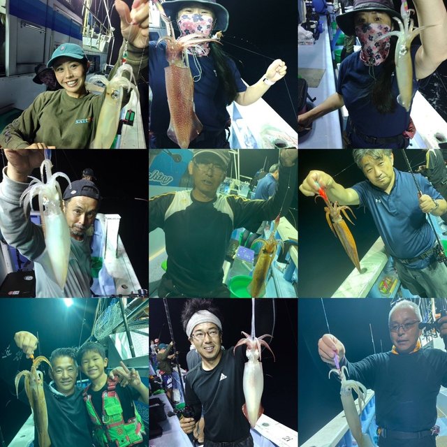 マルイカ(ケンサキイカ)