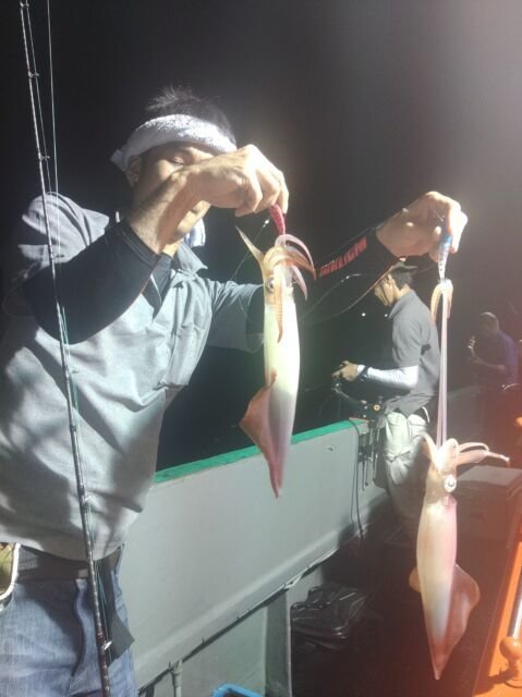 イカ(ヤリイカ)