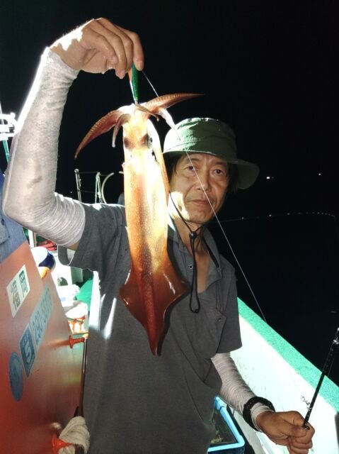 イカ(ヤリイカ)