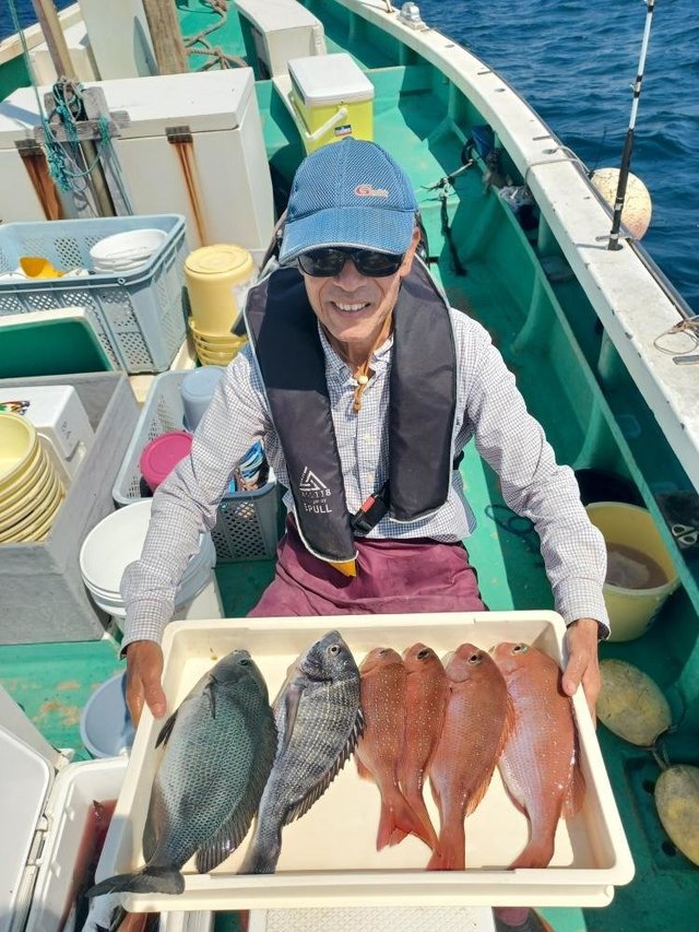 マダイ・クロダイ・メジナ