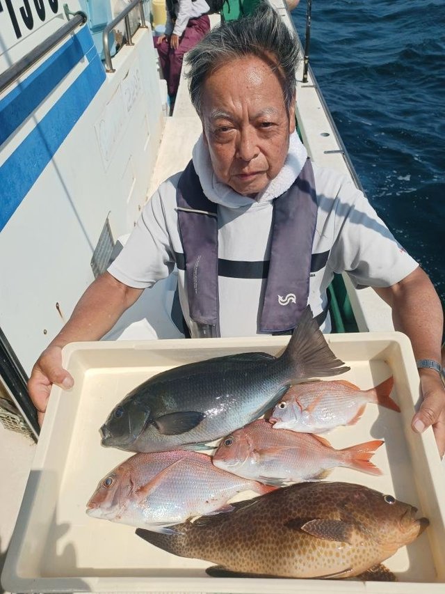 マダイ・ハナダイ(チダイ)・メジナ・オオモンハタ