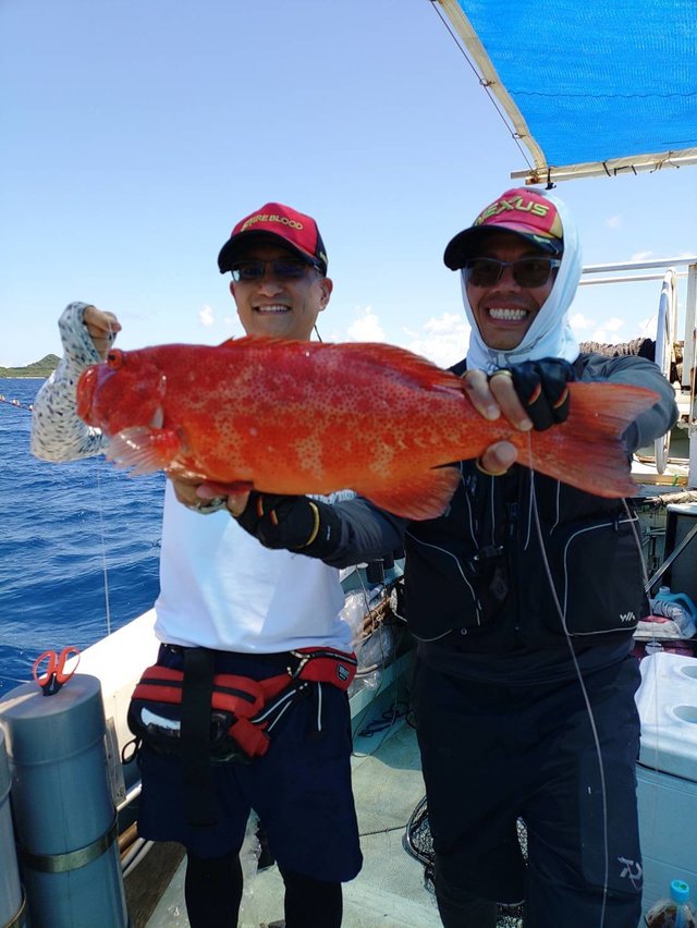 アカジン(スジアラ)