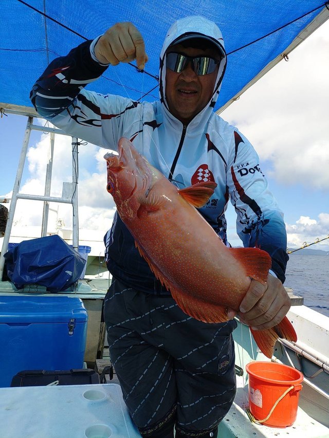 アカジン(スジアラ)