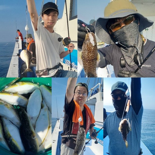 ショウサイフグ