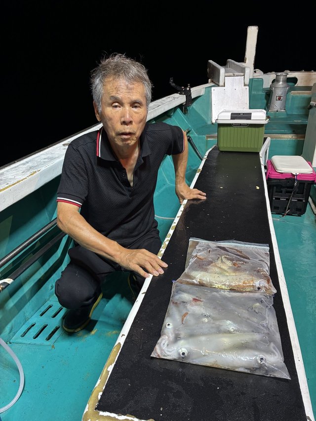 アカイカ(ケンサキイカ)