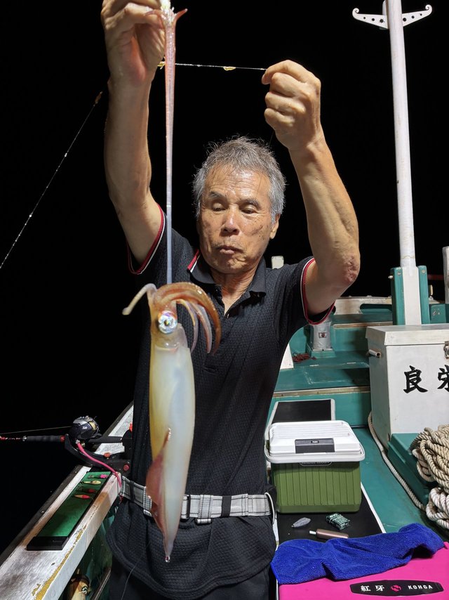 アカイカ(ケンサキイカ)