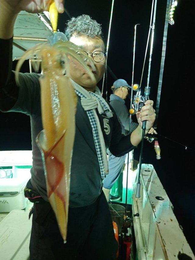 シロイカ(ケンサキイカ)