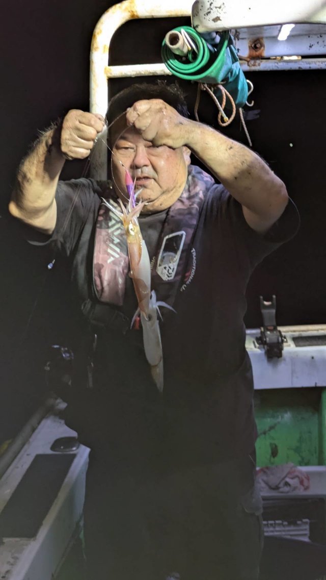 イカ(ケンサキイカ)