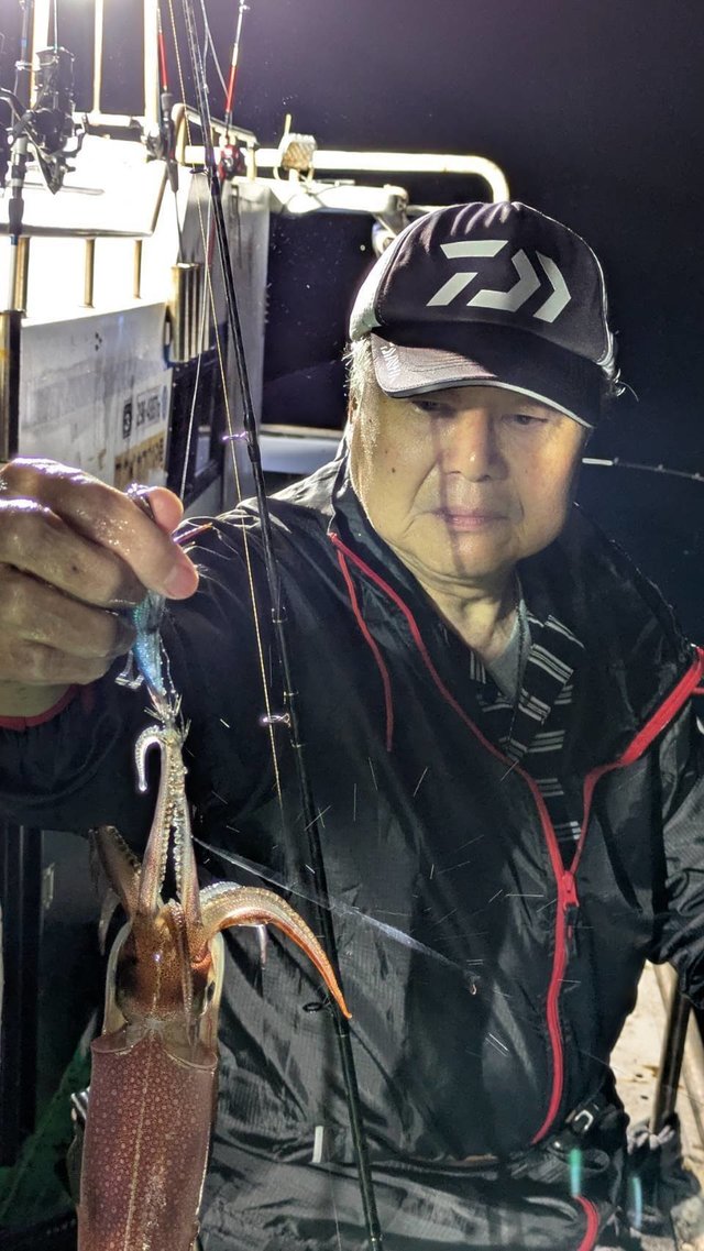 イカ(ケンサキイカ)