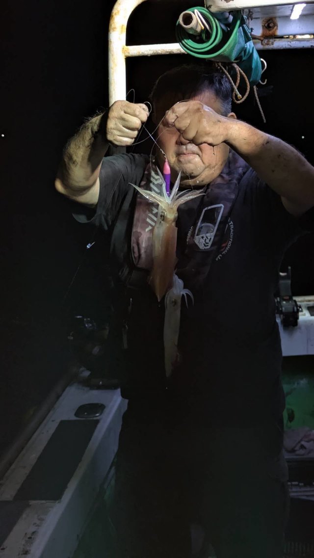 イカ(ケンサキイカ)