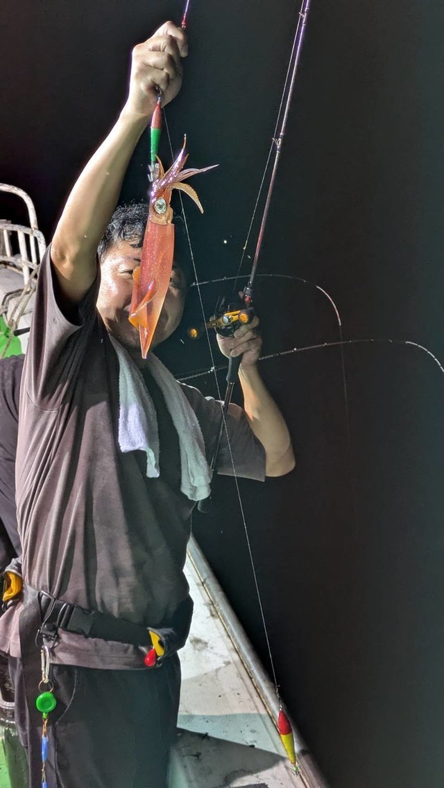 イカ(ケンサキイカ)