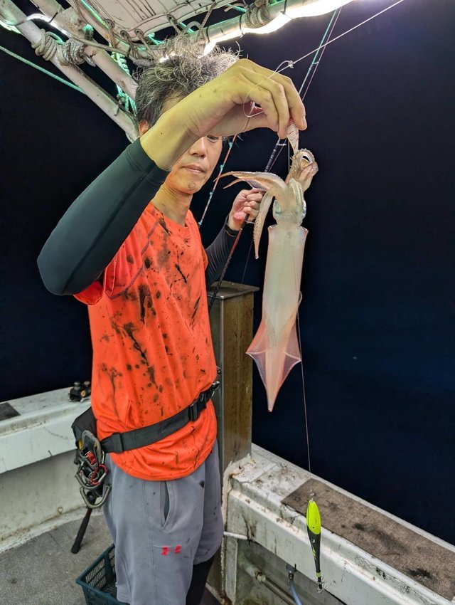 イカ(ケンサキイカ)