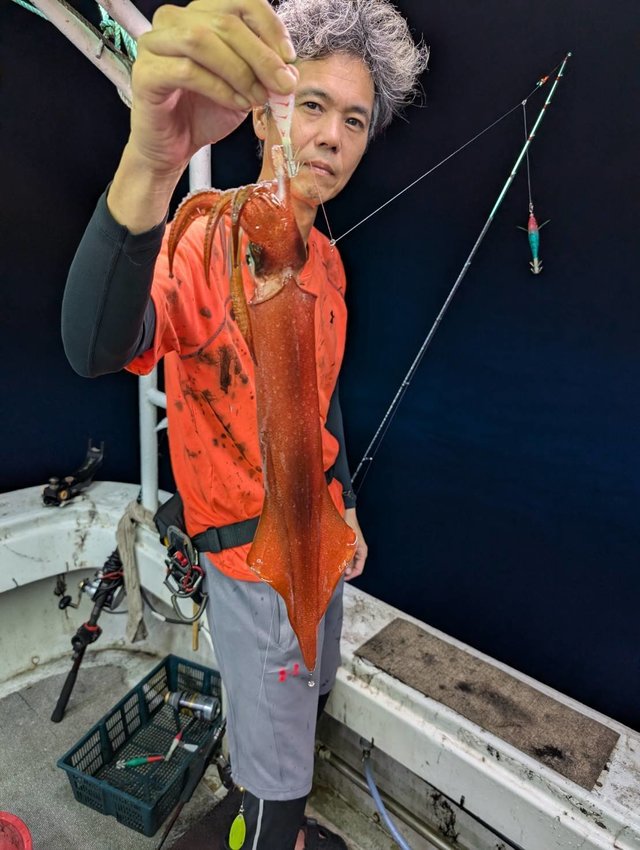 イカ(ケンサキイカ)