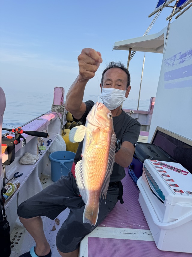 アマダイ(アカアマダイ)