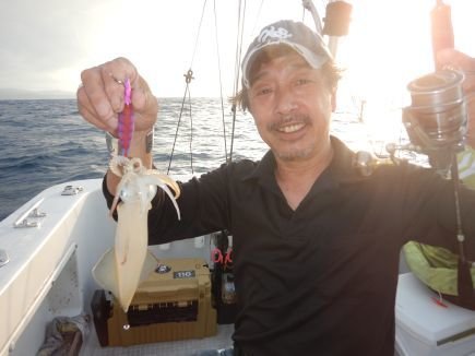 シロイカ(ケンサキイカ)