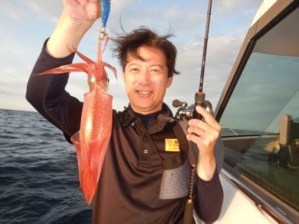 シロイカ(ケンサキイカ)