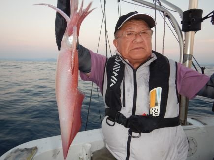 シロイカ(ケンサキイカ)