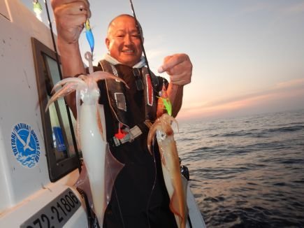 シロイカ(ケンサキイカ)