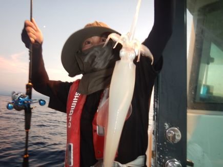 シロイカ(ケンサキイカ)