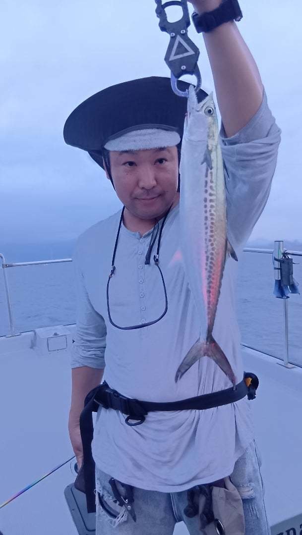 サゴシ(サワラ)