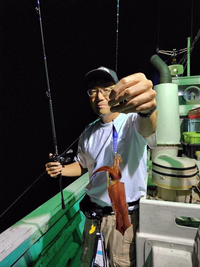 シロイカ(ケンサキイカ)