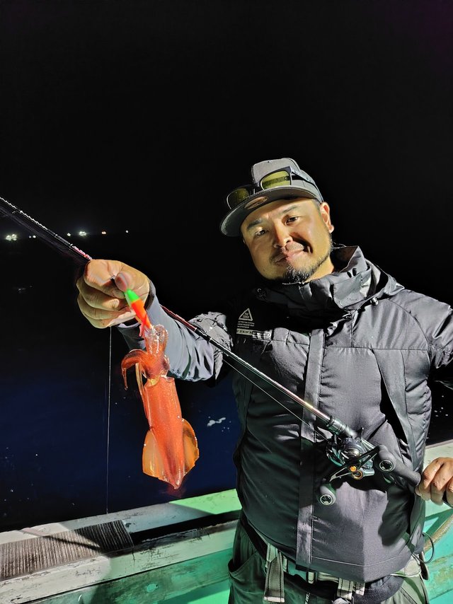 シロイカ(ケンサキイカ)