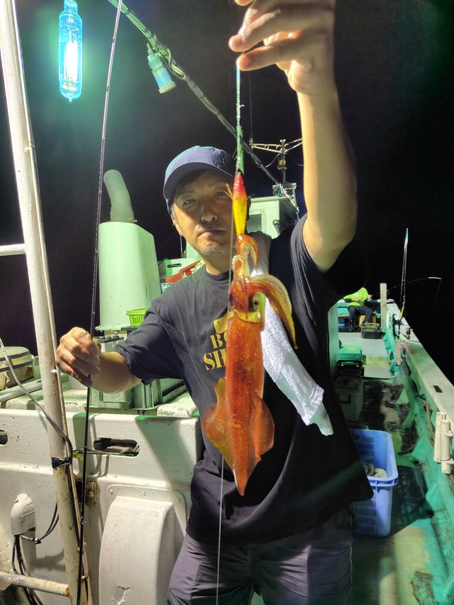 シロイカ(ケンサキイカ)