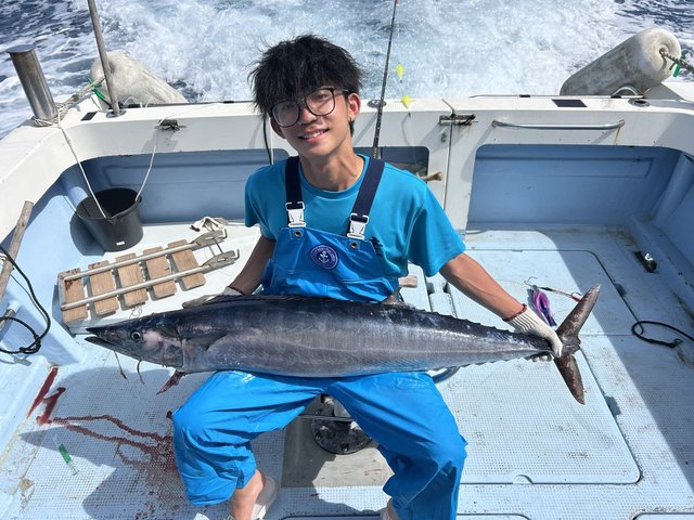 キメジ(キハダ)