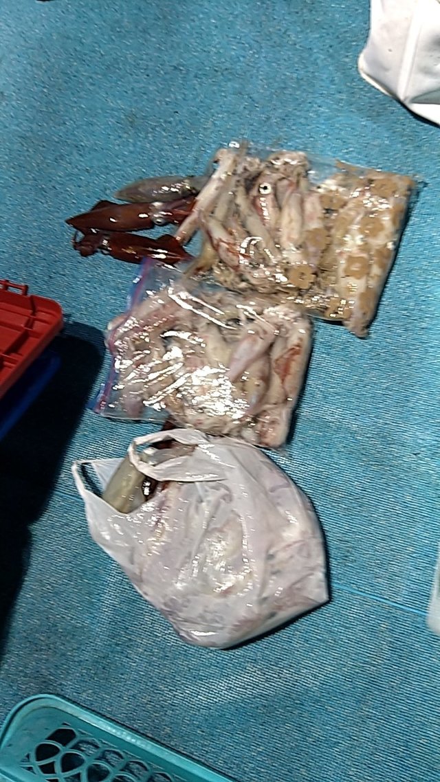 イカ(ケンサキイカ)