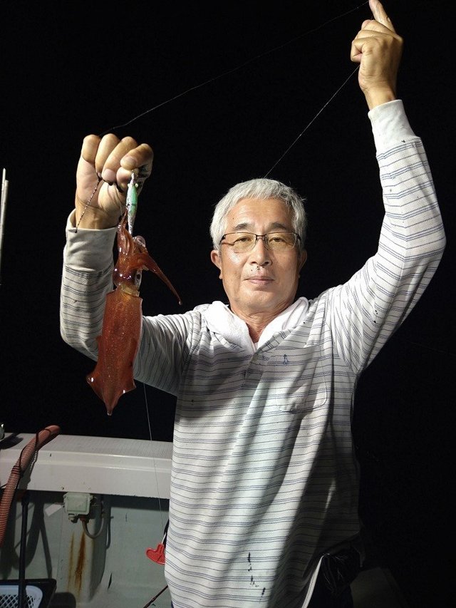 イカ(ケンサキイカ)